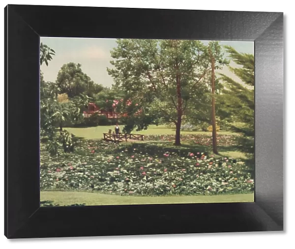 Queens Gardens, c1947. Creator: Unknown