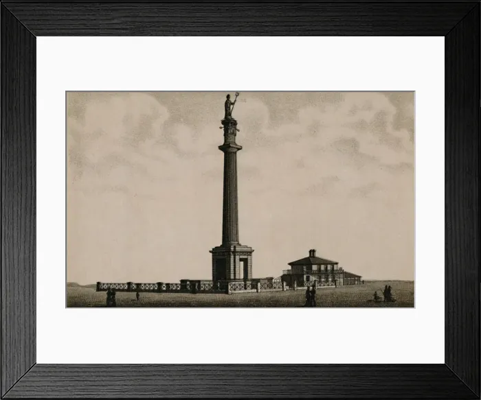 Framed Print : Nelsons Pillar, c1880. Creator: Unknown Framed Print : Nelsons Pillar, c1880. Creator: Unknown
