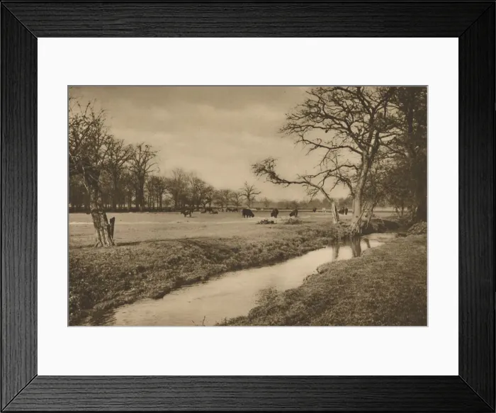 Framed Print : Where Beverley Brook Winds Through The Royal Hunting Park of Richmond, c1935. Creator: Joel Framed Print : Where Beverley Brook Winds Through The Royal Hunting Park of Richmond, c1935. Creator: Joel