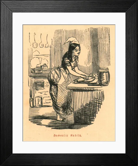 Framed Print : Domestic Habits, 1897. Creator: John Leech Framed Print : Domestic Habits, 1897. Creator: John Leech