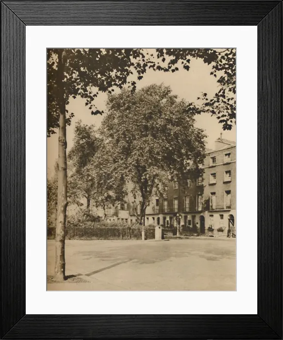 Framed Print : In Boarding-House Land: The Plane Trees of Torrington Square, c1935. Creator: Donald McLeish Framed Print : In Boarding-House Land: The Plane Trees of Torrington Square, c1935. Creator: Donald McLeish