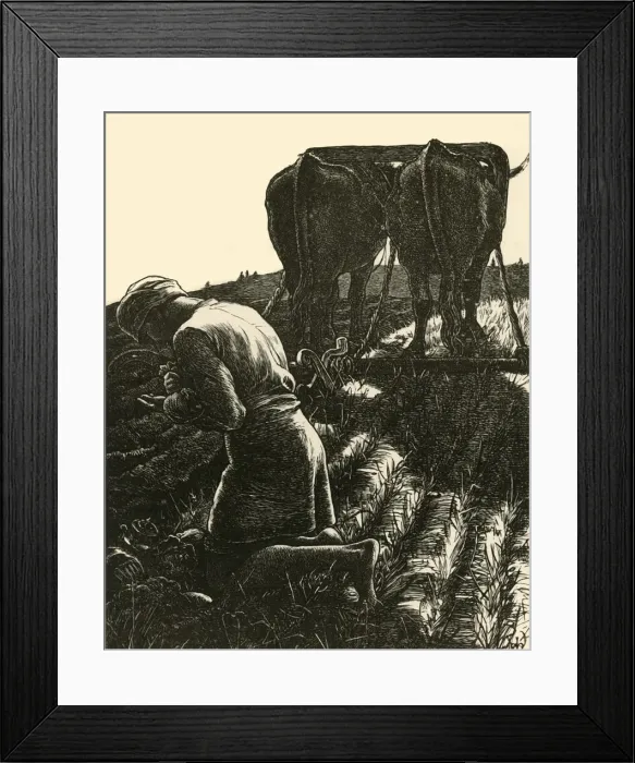 Framed Print : The Hidden Treasure, 1864, (1928). Creator: Dalziel Brothers Framed Print : The Hidden Treasure, 1864, (1928). Creator: Dalziel Brothers
