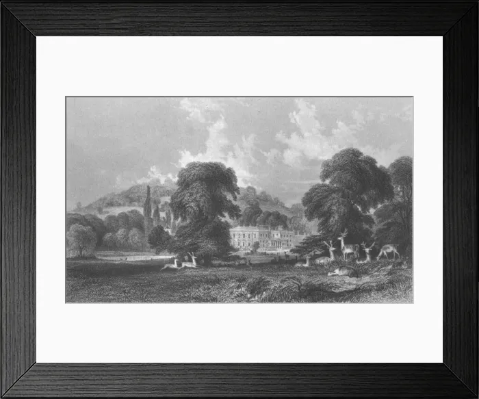 Framed Print : Wonersh Park, c1845. Creator: E Radclyffe Framed Print : Wonersh Park, c1845. Creator: E Radclyffe