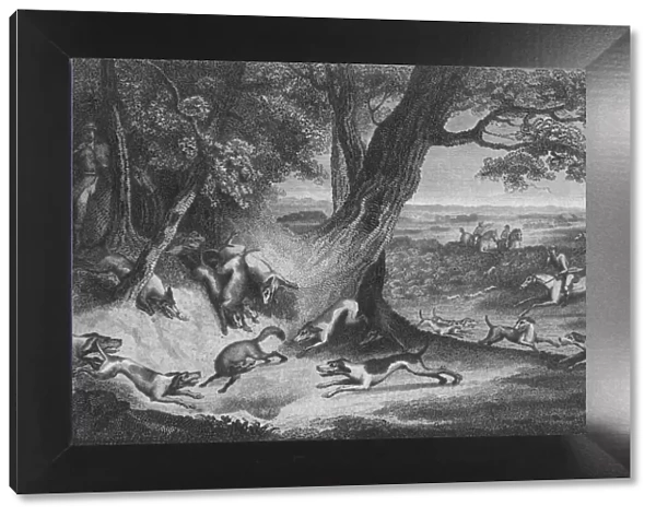 Death of the Fox, 1793. Creator: Thomas Cook