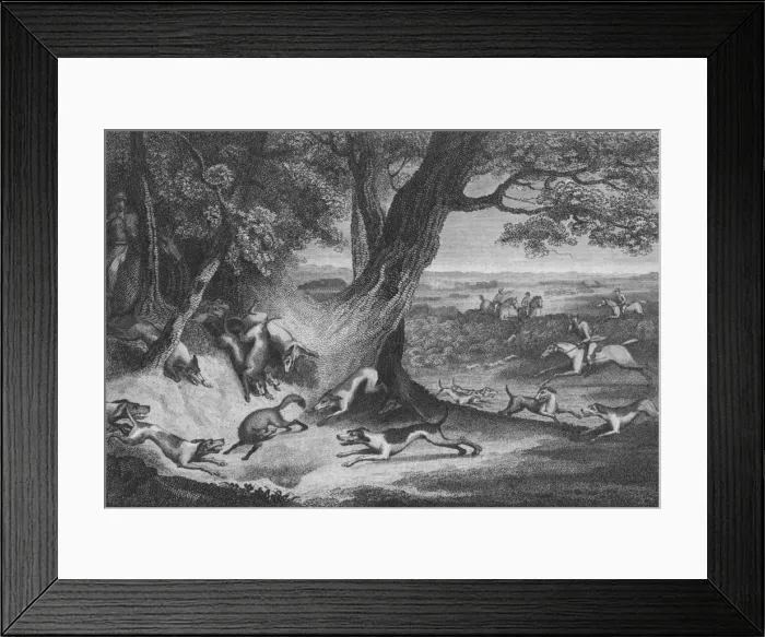 Framed Print : Death of the Fox, 1793. Creator: Thomas Cook Framed Print : Death of the Fox, 1793. Creator: Thomas Cook