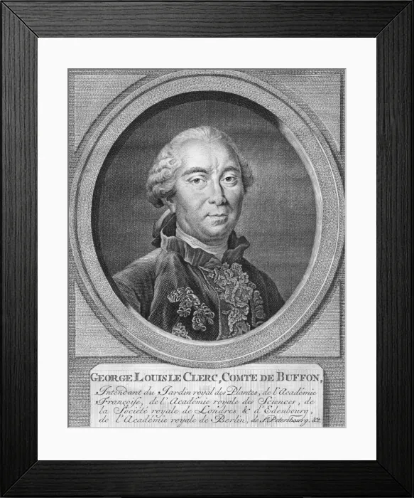 Framed Print : George Louis Le Clerc, Comte De Buffon, 1774. Creator: Jacobus Houbraken Framed Print : George Louis Le Clerc, Comte De Buffon, 1774. Creator: Jacobus Houbraken