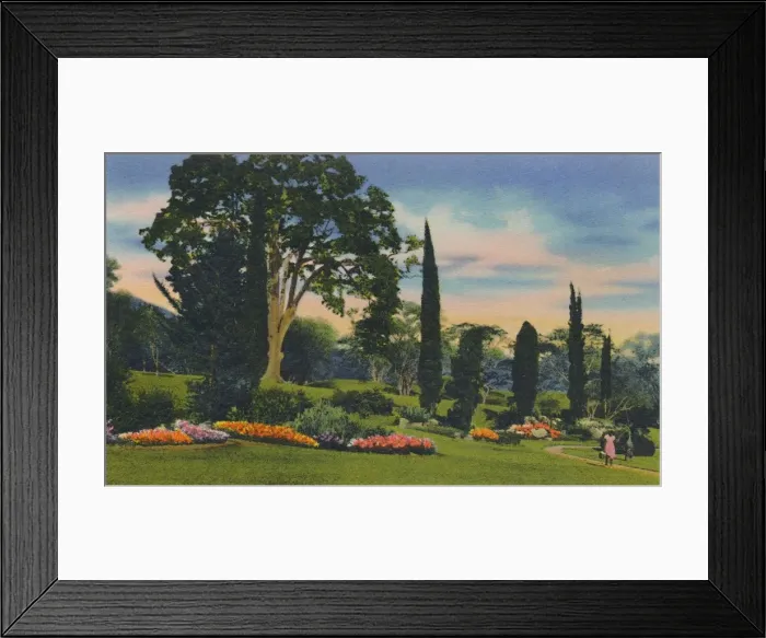 Framed Print : Rock Garden, Trinidad, B. W. I. c1940s. Creator: Unknown Framed Print : Rock Garden, Trinidad, B. W. I. c1940s. Creator: Unknown