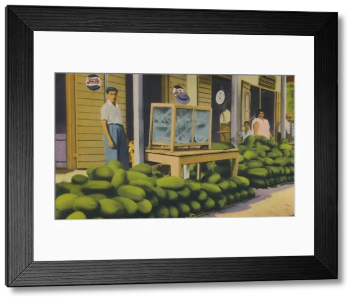 Framed Print : Watermelons For Sale, Trinidad, B. W. I. c1940s. Creator: Unknown Framed Print : Watermelons For Sale, Trinidad, B. W. I. c1940s. Creator: Unknown