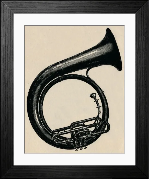 Framed Print : BB? Circular Bass, 1910. Creator: Unknown Framed Print : BB? Circular Bass, 1910. Creator: Unknown