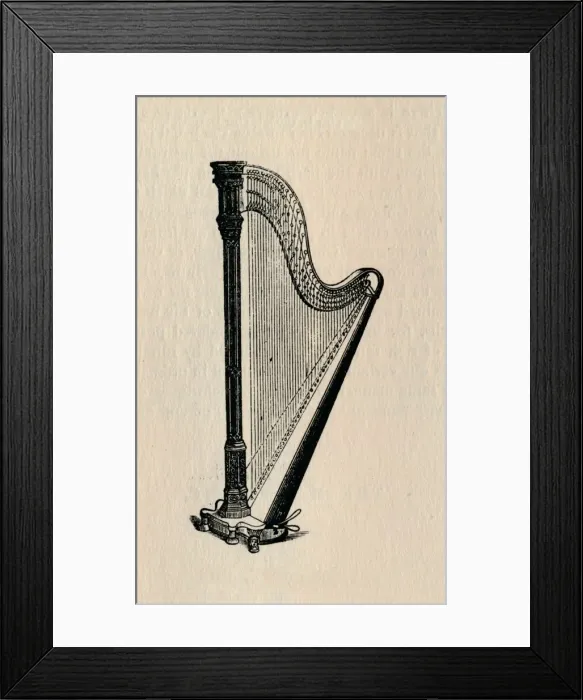Framed Print : The Harp, 1895. Creator: Unknown Framed Print : The Harp, 1895. Creator: Unknown