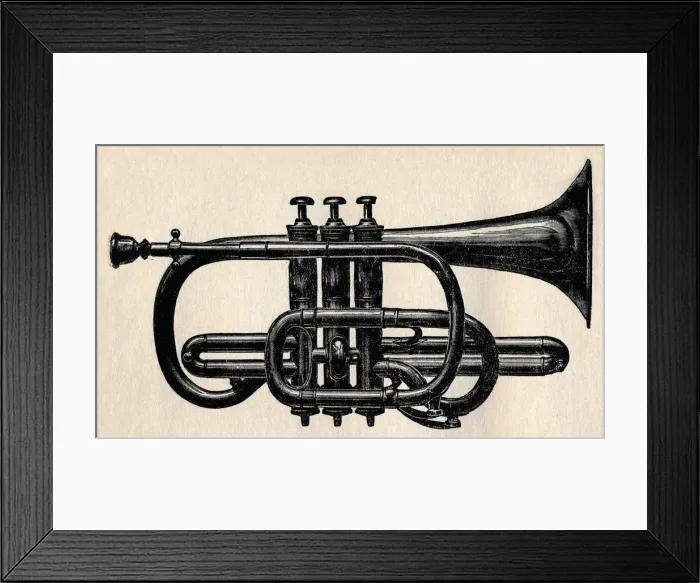 Framed Print : The Cornet, 1910. Creator: Unknown Framed Print : The Cornet, 1910. Creator: Unknown