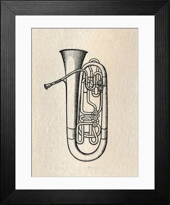 Framed Print : The Tuba - Contra Bass Tuba, 1895. Creator: Unknown Framed Print : The Tuba - Contra Bass Tuba, 1895. Creator: Unknown