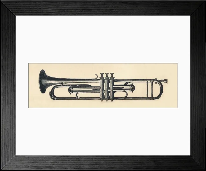 Framed Print : Chromatic Trumpet, 1895. Creator: Unknown Framed Print : Chromatic Trumpet, 1895. Creator: Unknown
