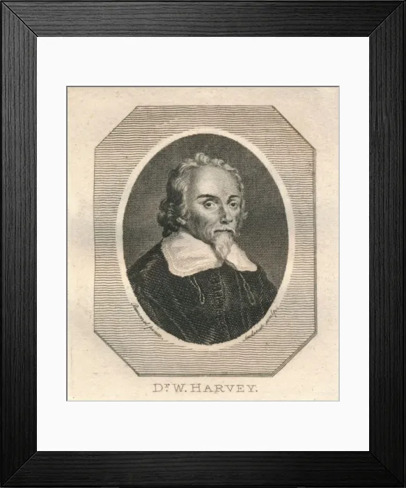 Framed Print : Dr. W. Harvey, c1800. Creator: Philip Audinet Framed Print : Dr. W. Harvey, c1800. Creator: Philip Audinet