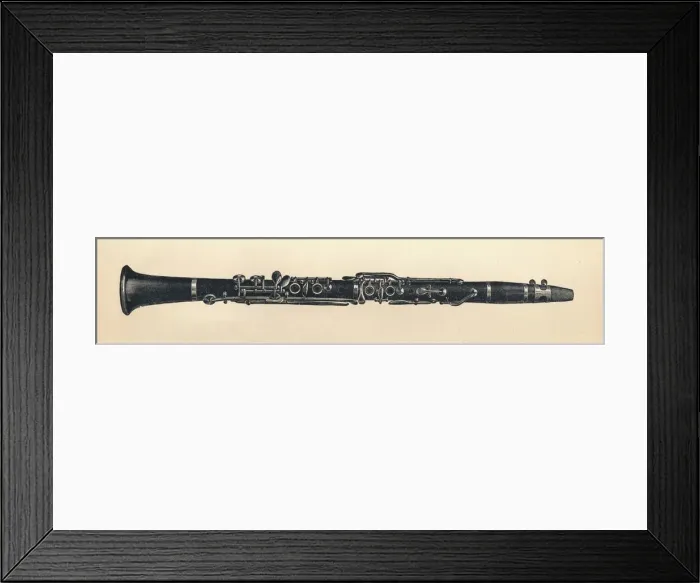 Framed Print : Clarinet, 1895. Creator: Unknown Framed Print : Clarinet, 1895. Creator: Unknown