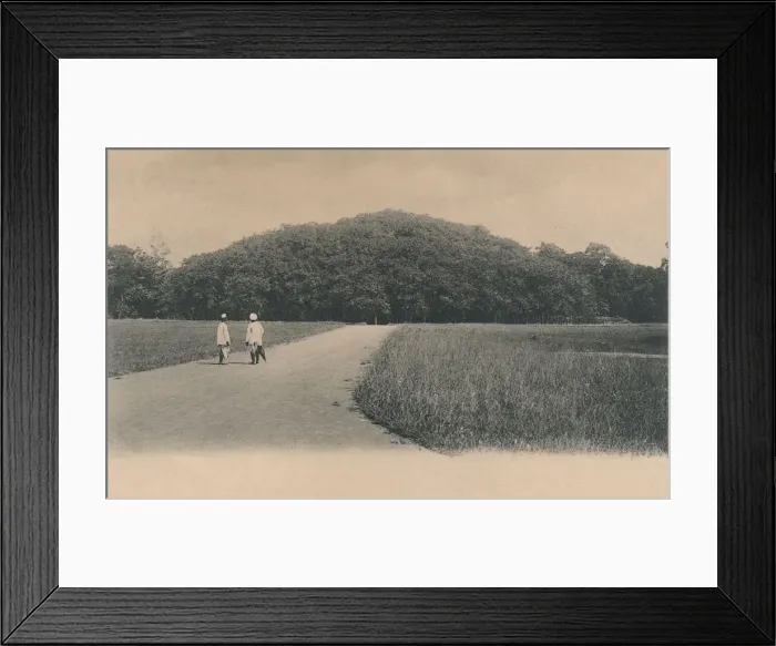 Framed Print : The Bunyan Tree, Botanical Gardens. Calcutta, 1906. Creator: Johnston & Hoffmann Framed Print : The Bunyan Tree, Botanical Gardens. Calcutta, 1906. Creator: Johnston & Hoffmann