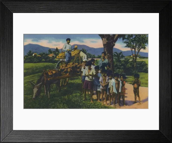 Framed Print : Coconut Vendor, Trinidad, B. W. I. c1940s. Creator: Unknown Framed Print : Coconut Vendor, Trinidad, B. W. I. c1940s. Creator: Unknown