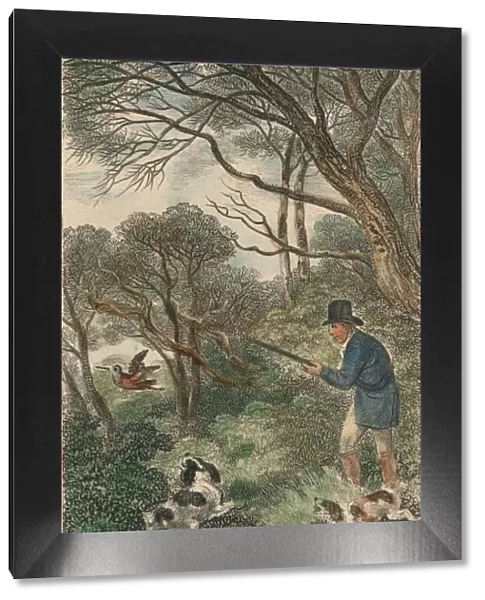 Woodcock Shooting, 1819. Creator: Samuel Howitt