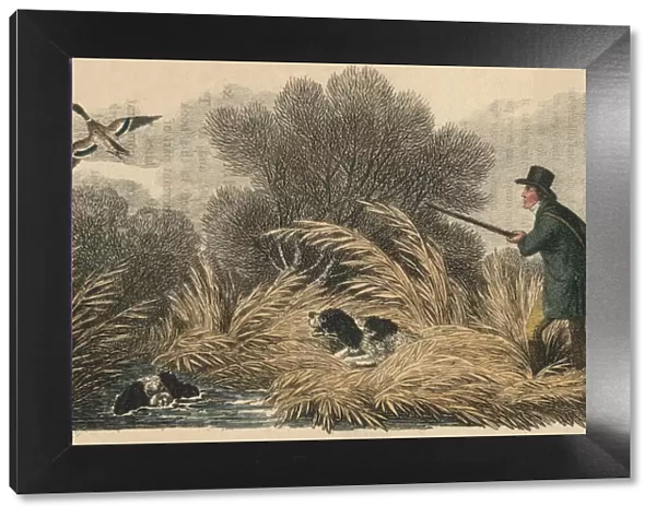 Duck Shooting, 1810. Creator: Samuel Howitt