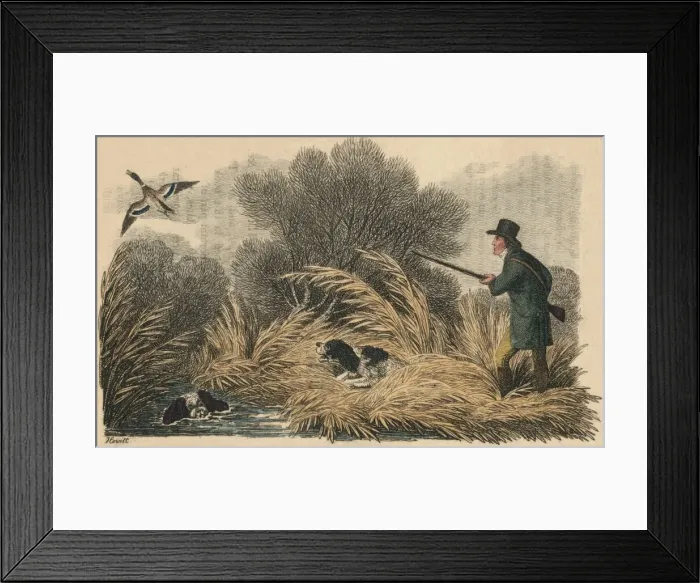 Framed Print : Duck Shooting, 1810. Creator: Samuel Howitt Framed Print : Duck Shooting, 1810. Creator: Samuel Howitt