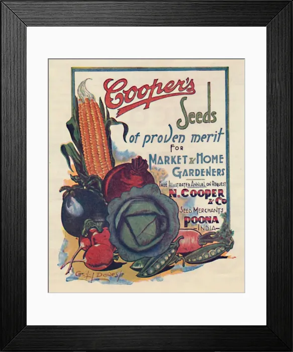 Framed Print : Advertisement for Coopers seeds, 1936. Creator: Cecil Dawes Framed Print : Advertisement for Coopers seeds, 1936. Creator: Cecil Dawes