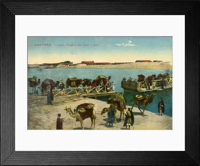 Framed Print : Kantara - Camels passing the Suez Canal, c1918-c1939. Creator: Unknown Framed Print : Kantara - Camels passing the Suez Canal, c1918-c1939. Creator: Unknown