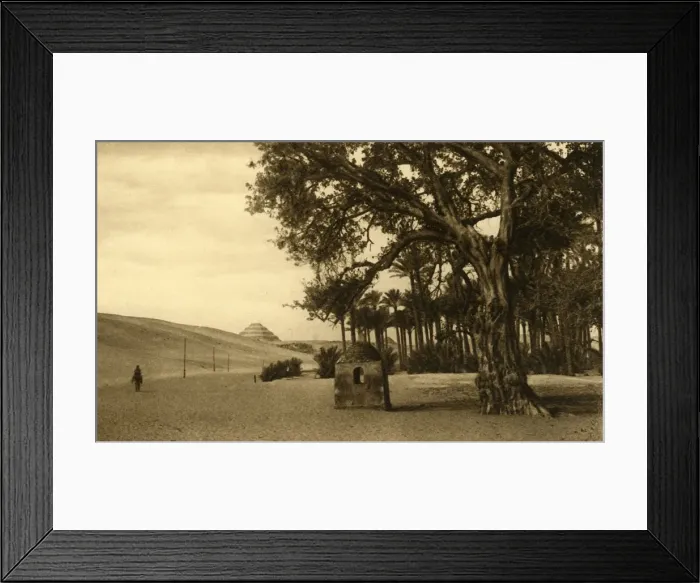 Framed Print : Saqqara - The Step Pyramid seen from the Sycomore, c1918-c1939. Creator: Unknown Framed Print : Saqqara - The Step Pyramid seen from the Sycomore, c1918-c1939. Creator: Unknown