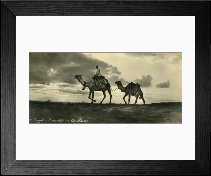 Framed Print : Egypt - Eventide in the Desert, c1918-c1939. Creator: Unknown Framed Print : Egypt - Eventide in the Desert, c1918-c1939. Creator: Unknown