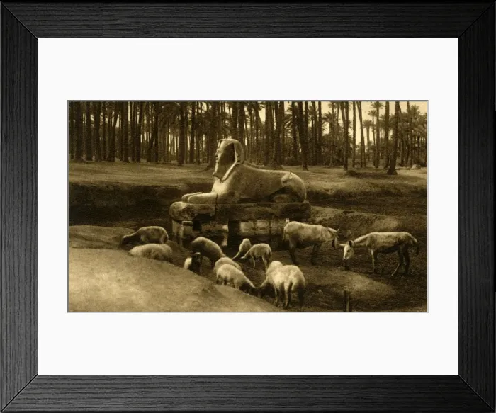 Framed Print : Memphis - The Alabaster Sphinx, c1918-c1939. Creator: Unknown Framed Print : Memphis - The Alabaster Sphinx, c1918-c1939. Creator: Unknown