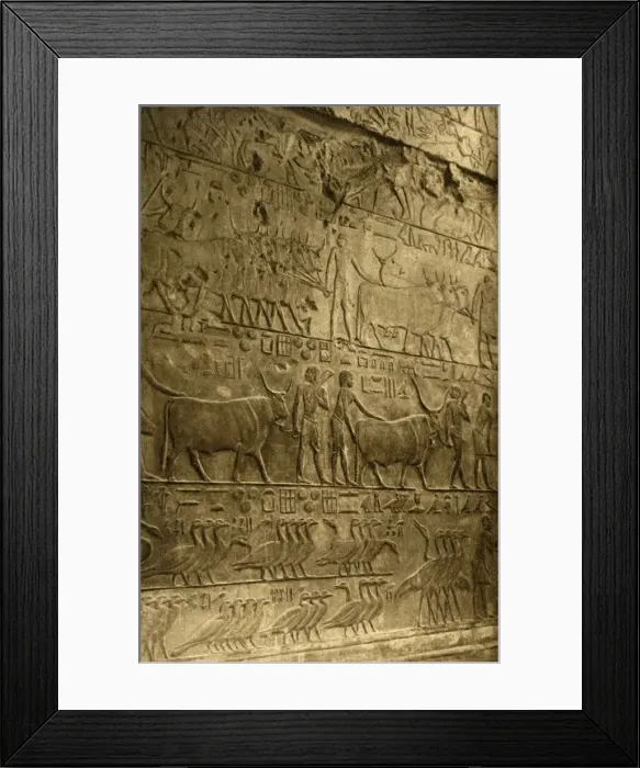 Framed Print : Saqqara - Tomb of Ptahotep - Mural Decoration, c1918-c1939. Creator: Unknown Framed Print : Saqqara - Tomb of Ptahotep - Mural Decoration, c1918-c1939. Creator: Unknown