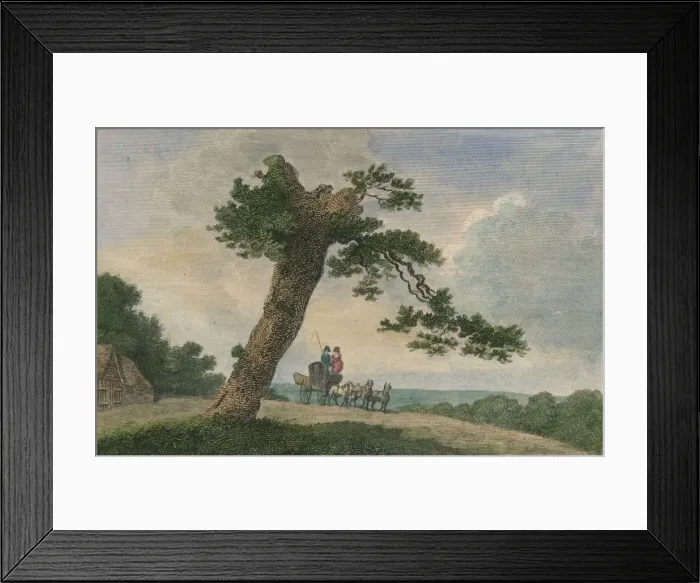 Framed Print : Rural Subject, 1804. Creator: C Taylor Framed Print : Rural Subject, 1804. Creator: C Taylor