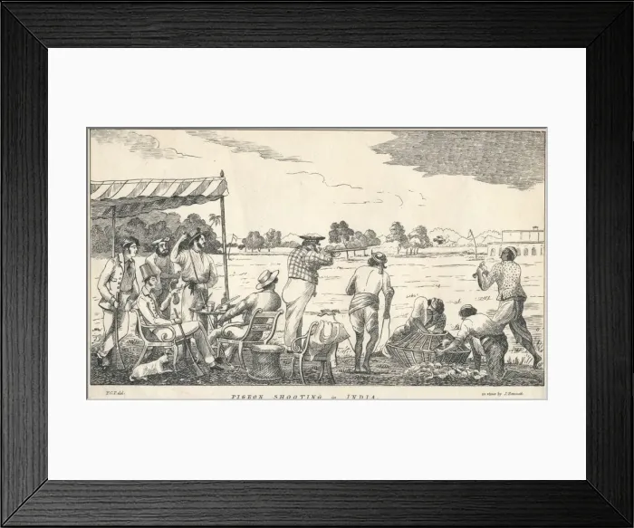 Framed Print : Pigeon Shooting in India, 19th century. Creator: J Bennett Framed Print : Pigeon Shooting in India, 19th century. Creator: J Bennett