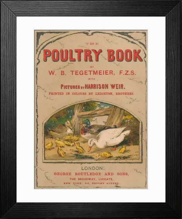 Framed Print : The Poultry Book, 1867. Creator: Harrison Weir Framed Print : The Poultry Book, 1867. Creator: Harrison Weir