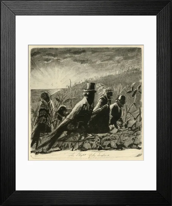 Framed Print : The Flight of the Swallows, 1882. Creator: Unknown Framed Print : The Flight of the Swallows, 1882. Creator: Unknown