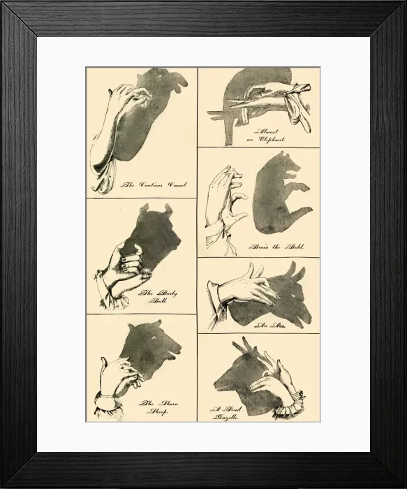 Framed Print : Shadow Pictures and Silhouettes, 1883. Creator: Unknown Framed Print : Shadow Pictures and Silhouettes, 1883. Creator: Unknown