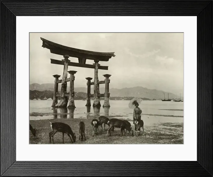 Framed Print : The Old Torii at Miyajima, 1910. Creator: Herbert Ponting Framed Print : The Old Torii at Miyajima, 1910. Creator: Herbert Ponting