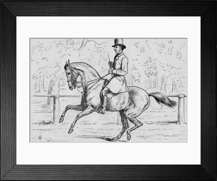 Framed Print : A Morning Canter in the Park, 1881. Creator: Samuel Sidney Framed Print : A Morning Canter in the Park, 1881. Creator: Samuel Sidney