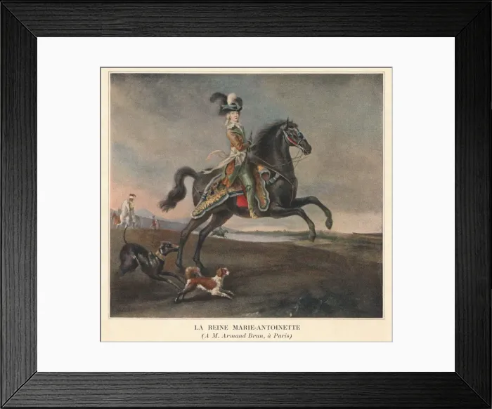 Framed Print : La Reine Marie-Antoinette, 1783. Creator: Unknown Framed Print : La Reine Marie-Antoinette, 1783. Creator: Unknown