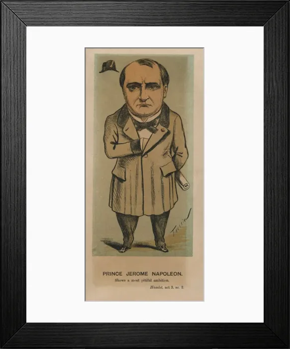 Framed Print : Prince Jerome Napoleon, 1874. Creator: Faustin Framed Print : Prince Jerome Napoleon, 1874. Creator: Faustin