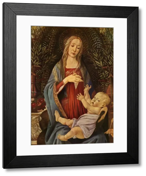Framed Print : Detail from Madonna and Child with both Saints John, 1485, (1937). Creator: Sandro Botticelli Framed Print : Detail from Madonna and Child with both Saints John, 1485, (1937). Creator: Sandro Botticelli