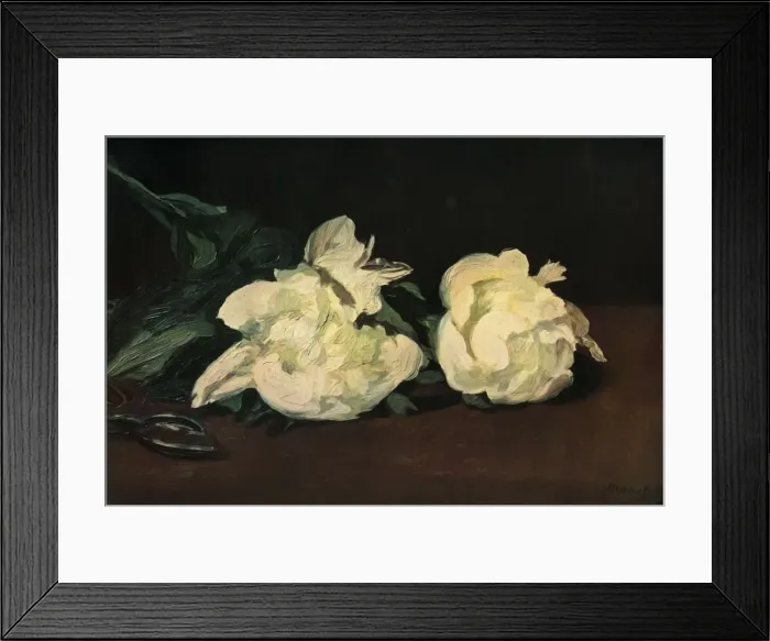 Framed Print : White Peonies, 1864, (1937). Creator: Edouard Manet Framed Print : White Peonies, 1864, (1937). Creator: Edouard Manet