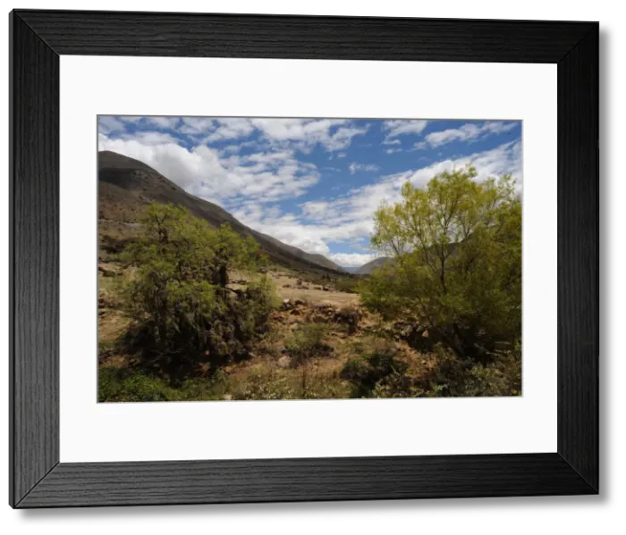 Framed Print : Kotosh, Huanuco, Peru, 2015. Creator: Luis Rosendo Framed Print : Kotosh, Huanuco, Peru, 2015. Creator: Luis Rosendo