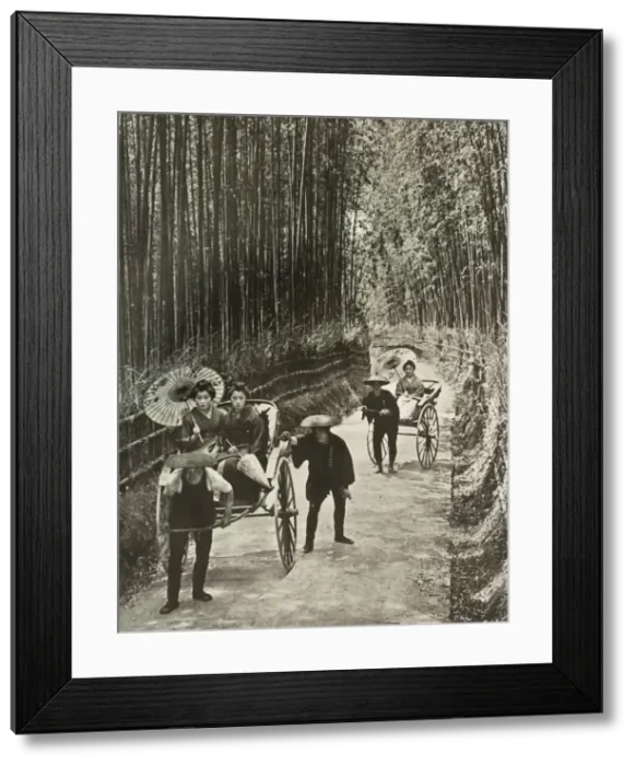 Framed Print : A Bamboo Avenue at Kyoto, 1910. Creator: Herbert Ponting Framed Print : A Bamboo Avenue at Kyoto, 1910. Creator: Herbert Ponting