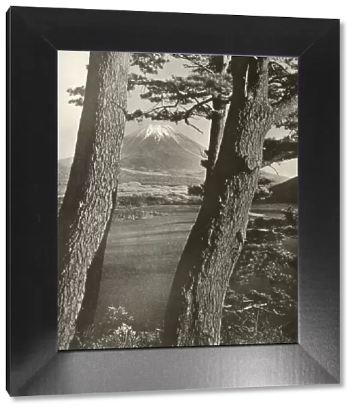 Fuji Through the Pines of Lake Motosu, 1910. Creator: Herbert Ponting