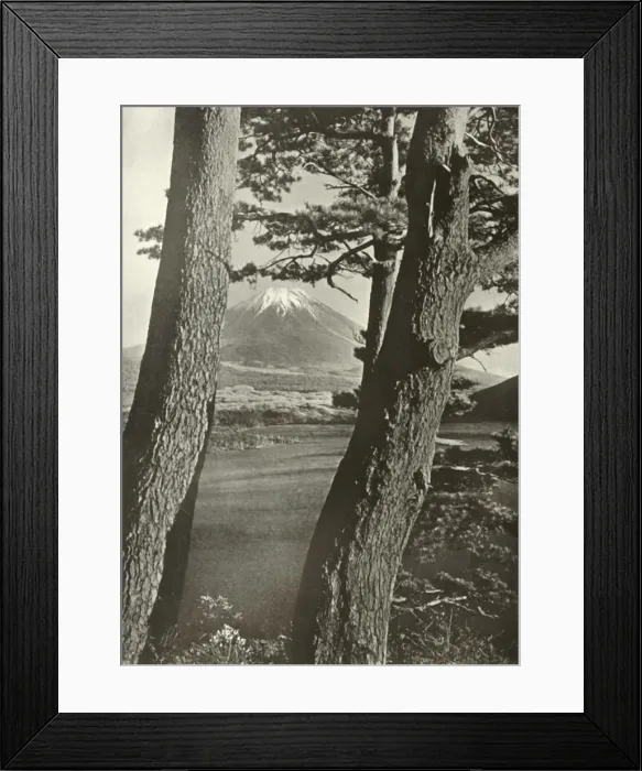 Framed Print : Fuji Through the Pines of Lake Motosu, 1910. Creator: Herbert Ponting Framed Print : Fuji Through the Pines of Lake Motosu, 1910. Creator: Herbert Ponting
