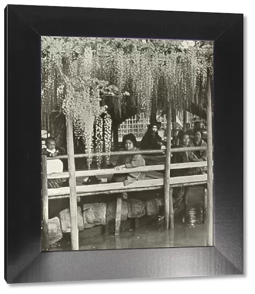 A Wisteria Arbour at Kameido, 1910. Creator: Herbert Ponting