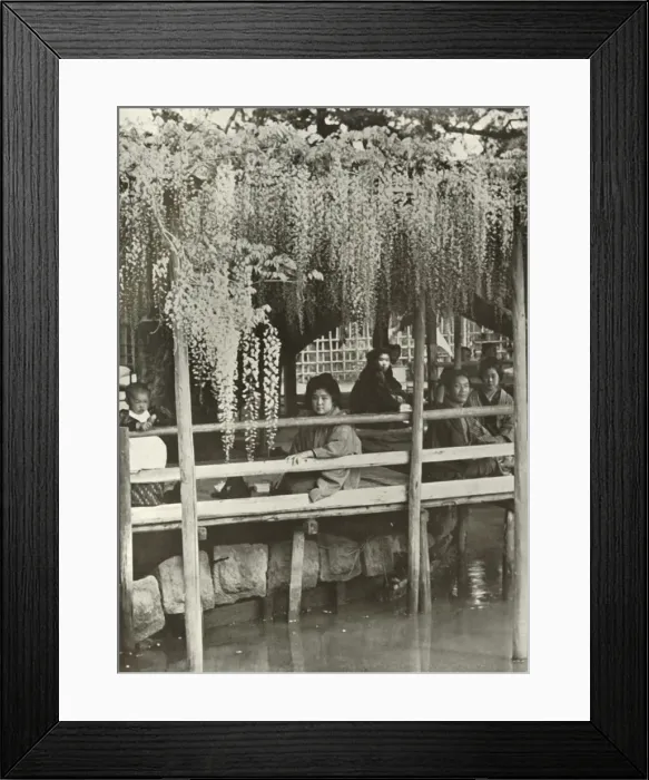 Framed Print : A Wisteria Arbour at Kameido, 1910. Creator: Herbert Ponting Framed Print : A Wisteria Arbour at Kameido, 1910. Creator: Herbert Ponting