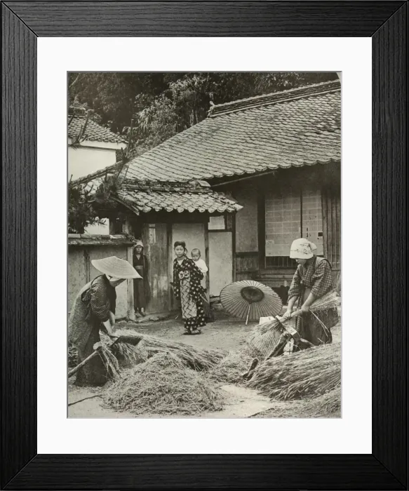 Framed Print : Peasant Women Heading Barley, 1910. Creator: Herbert Ponting Framed Print : Peasant Women Heading Barley, 1910. Creator: Herbert Ponting
