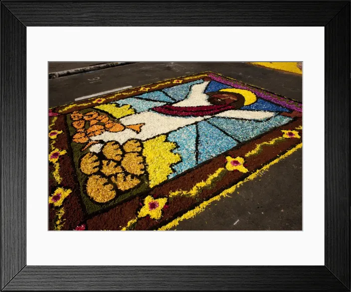 Framed Print : Holy Week Surco Flower Carpet, Lima, Peru, 2015. Creator: Luis Rosendo Framed Print : Holy Week Surco Flower Carpet, Lima, Peru, 2015. Creator: Luis Rosendo
