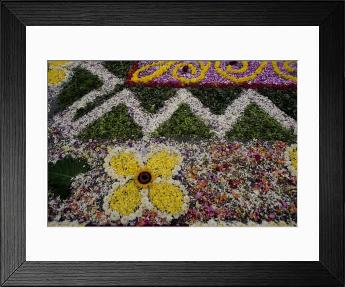 Framed Print : Holy Week Surco Flower Carpet, Lima, Peru, 2015. Creator: Luis Rosendo Framed Print : Holy Week Surco Flower Carpet, Lima, Peru, 2015. Creator: Luis Rosendo
